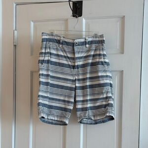 American Eagle Outfitters Blue and White Striped Men's Shorts
